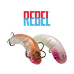 Rebel Cat R Crawler