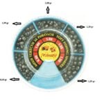 Set Μολύβια-Φακές Ψαρέματος Teriko T003