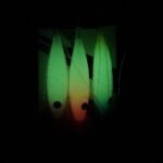 Αρματωσιά Seika Squid Leader - Image 3