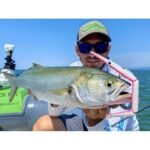 Jack Fin Stylo Jointed 255 - Image 9