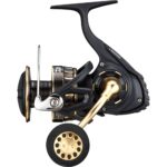 DAIWA BG SW